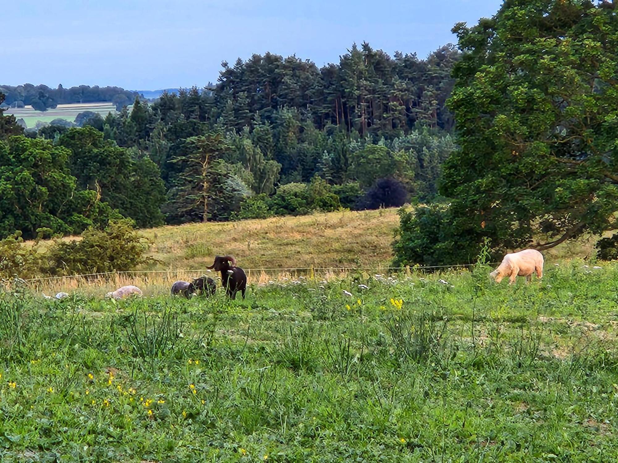 Mickledale & Langriggs At Wetheral Cottages Great Salkeld Экстерьер фото